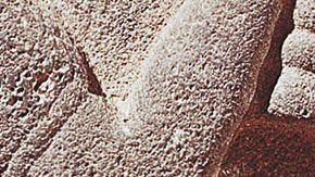 Luchó contra la muerte hasta que aceptó lo inevitable y se volvió sabio.