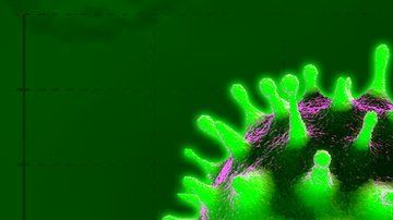 Un estudio del SARS-CoV-2 estimó que la tasa más alta de transmisión viral tiene lugar uno a dos días antes de que la persona infectada comience a mostrar síntomas.