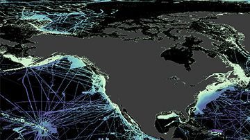 Las zonas negras del mapa aún necesitan ser sondeadas para obtener más información de ellas.