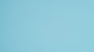 113020131_whatsubject