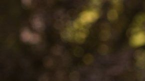 113094088_gettyimages-1221998242