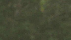 Militares en el ojo del huracán.