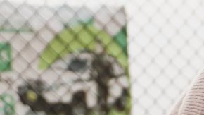 113109478_c5c98b14-af98-4727-8fe3-d3984895440e