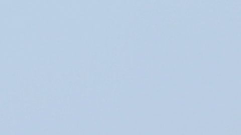 Un avión de United Airlines.