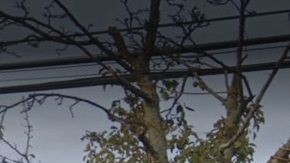 163-35 Cross Bay Blvd, Howard Beach