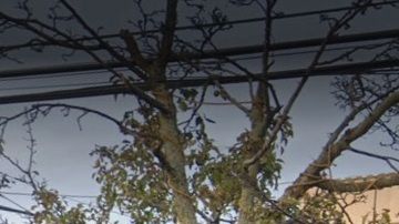 163-35 Cross Bay Blvd, Howard Beach