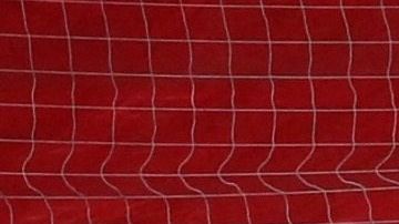 Se prevé que Fernando Muslera estará fuera de actividad por el resto del 2020.