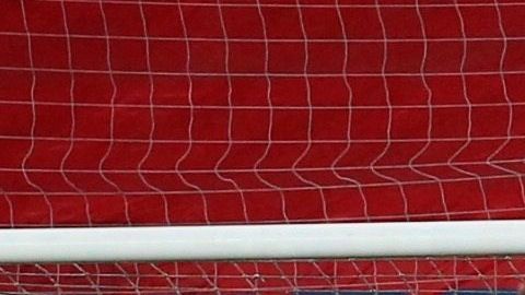 Se prevé que Fernando Muslera estará fuera de actividad por el resto del 2020.