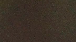 Sambueza se ha caracterizado por ser un jugador indisciplinado.