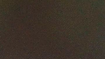 Sambueza se ha caracterizado por ser un jugador indisciplinado.