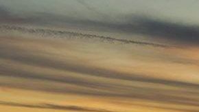 Estos vehículos te impresionarán con sus rediseños.