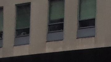 Desfile de Thanksgiving en Nueva York