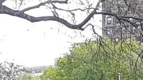 NYPD en Washington Square Park