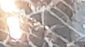 Vitrina de zapatería vandalizada en la 5ta Av