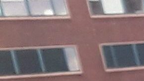 Unos critican a NYPD y otros la claman