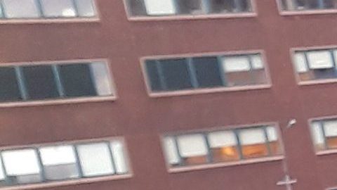 Unos critican a NYPD y otros la claman