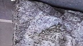 Whole Foods cerró en Union Sq, meca de las protestas