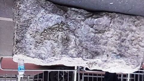 Whole Foods cerró en Union Sq, meca de las protestas