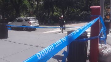 NYPD marcó la escena del homicidio ayer en el elegante Madison Square Park