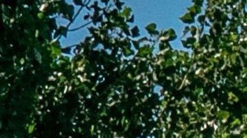 El mercado de Xinfadi fue cerrado.