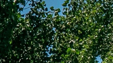 El mercado de Xinfadi fue cerrado.