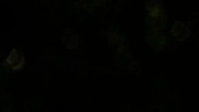 Todos los manifestantes deben llevar mascarilla y gel desinfectante.