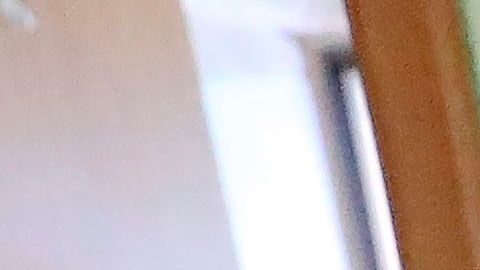 Efectos del coronavirus