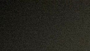 Biden solo ha adelantado que su compañera de fórmula será una mujer.