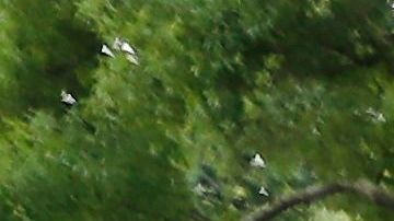 Manifestantes protestan por la muerte de Rayshard Brooks en Atlanta.