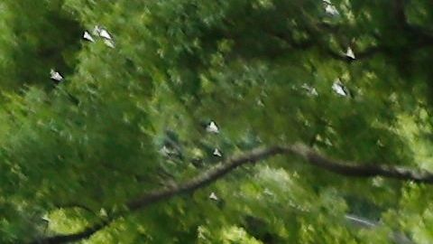 Manifestantes protestan por la muerte de Rayshard Brooks en Atlanta.