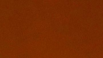 Se especulaba con que la demócrata fuera compañera de fórmula de Biden.