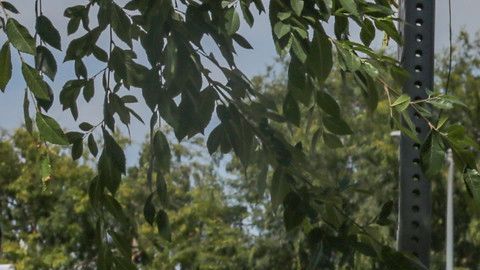 Garcetti anuncia Al Fresco