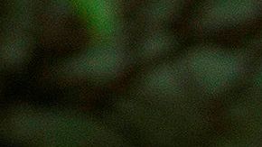 El presidente habló del coronavirus en una conferencia sobre la reforma policial.