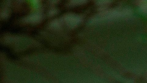 El presidente habló del coronavirus en una conferencia sobre la reforma policial.