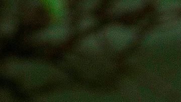 El presidente habló del coronavirus en una conferencia sobre la reforma policial.