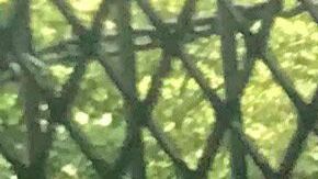 Jessie Brown creció en un condado donde solo había una familia negra.