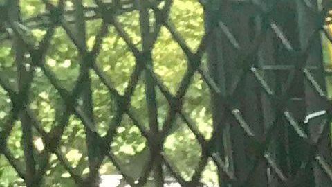 Jessie Brown creció en un condado donde solo había una familia negra.