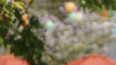 Los estudiantes indocumentados en California también pueden recibir ayuda financiera.