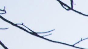 California sigue bajo fuego.