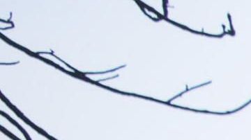 California sigue bajo fuego.