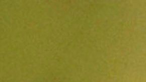 Bolsonaro en la ONU.