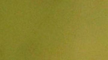 Bolsonaro en la ONU.