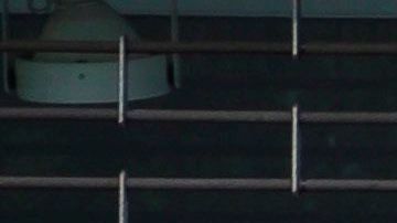 Muchos trabajadores despedidos tienen derecho a bono federal de $600 semanales.