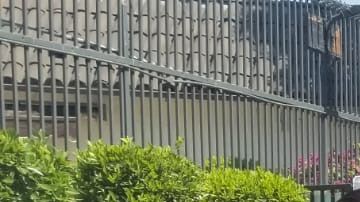 Líderes quieren alivio migratorio para trabajadores esenciales. (Cortesía)