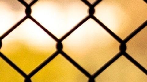 Estados y ciudades siguen rebajando sus medidas de contención del virus.