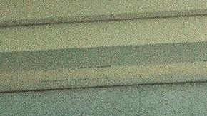 El gobernador de Florida no ha retrocedido en la reapertura del estado.