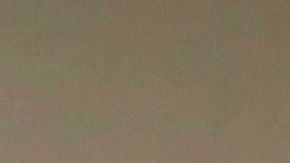 El niño nunca habla de un virus en el video.