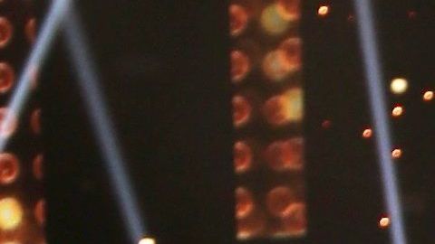 Migbelis Castellanos