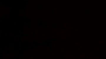 Los asistentes a mítines de Trump asumen que pueden infectarse.