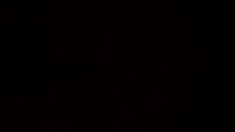 Los asistentes a mítines de Trump asumen que pueden infectarse.